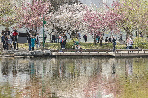 CHINA-BEIJING-SPRING-PHOTOGRAPHY ENTHUSIASTS(CN)