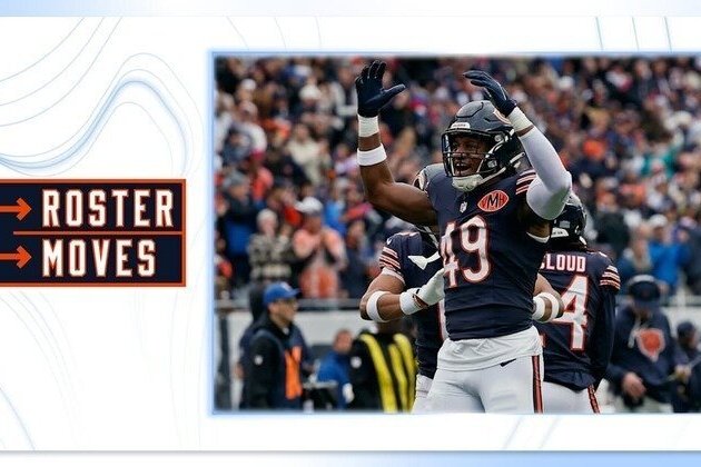 Roster Moves: Chicago Bears activate Edmunds, elevate Alexander