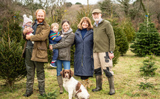 Christmas trees bring festive diversification to Cornish farm