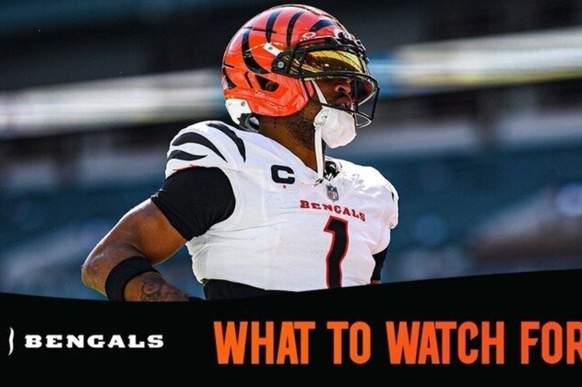 What to Watch For | Cardinals vs Bengals Week 17