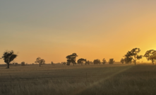  Kondinin Group has been successful with a multi-million dollar grant to help drought resilience. Picture Mark Saunders.