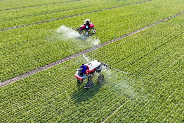 Agriculture blossoms with tech innovation drive