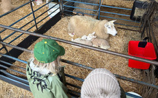 OPINION: "Open the farm gate, muddy the public's trainers and change how they see farming"