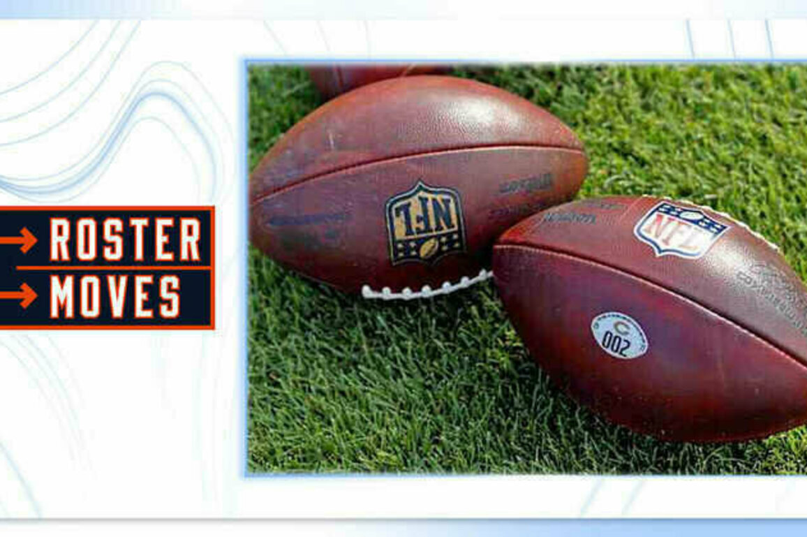 Bears sign five draft selections
