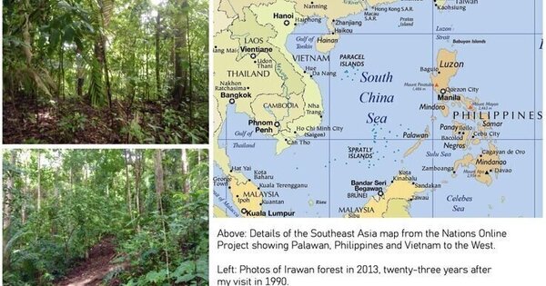 FOREST FIELD NOTES: Alive Because Someone Cared