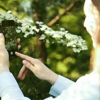Phones and other tech can enhance teens' connection to nature