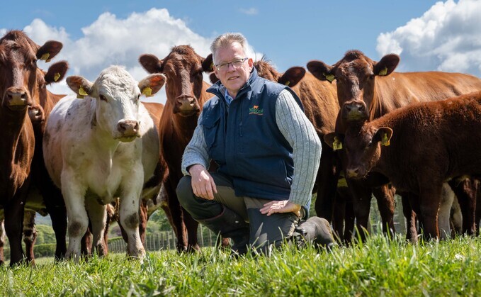 Breeding for maternal traits is a key focus for Gerard, and something which he believes should never be compromised.