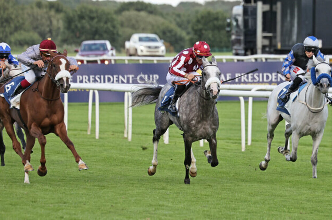 UAE President's Cup for Purebred Arabian Horses in Doncaster opens tomorrow
