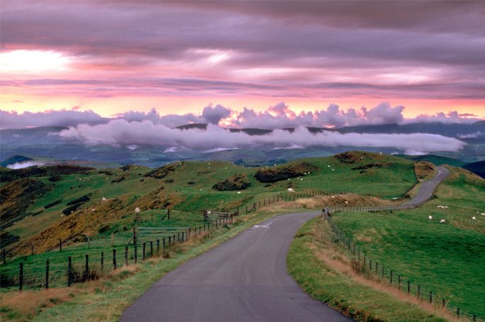 chrisatpps / Shutterstock