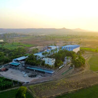From village to global: India's biotech revolution