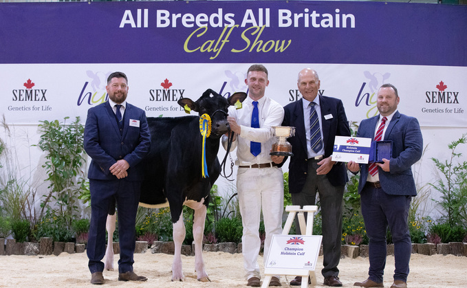 Border and Lakeland claim Holstein calf championship at All Breeds All Britain