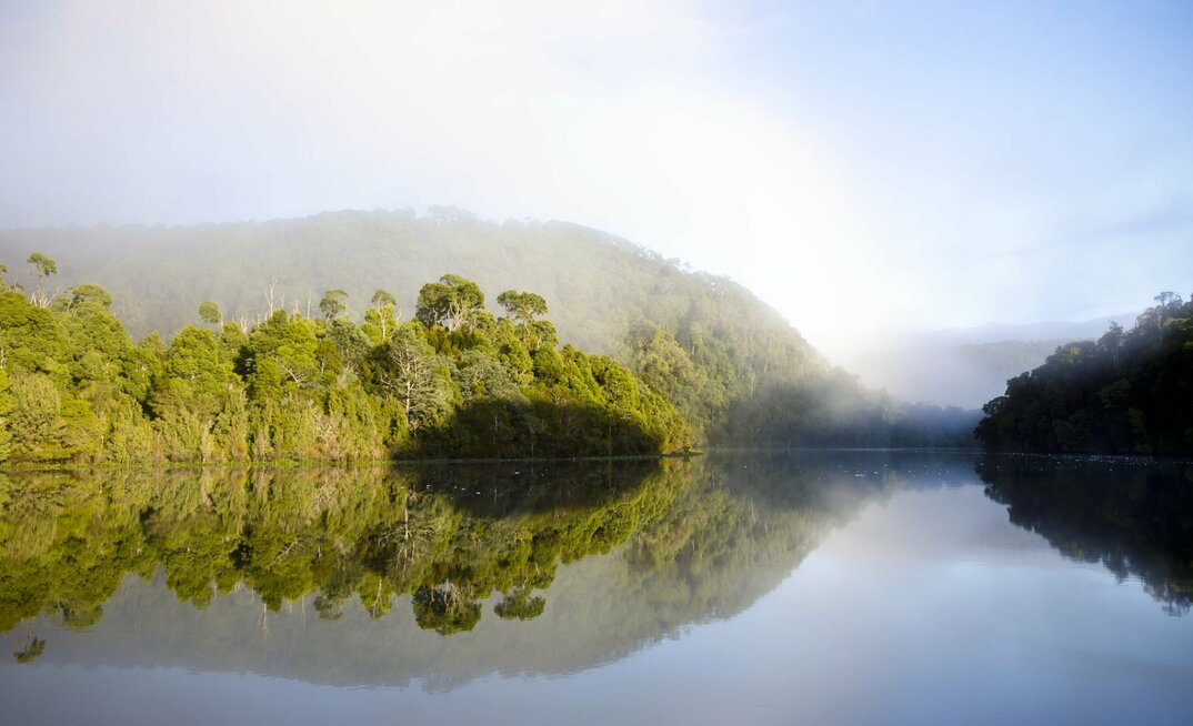 The Tarkine is a pretty place