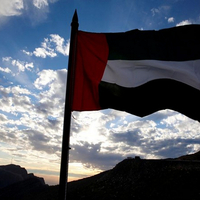 UAE begins loading 'Saqr Humanitarian Ship' in support of Gaza Strip