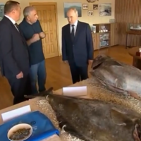 Putin visits disputed Iturup Island after US-South Korea naval drills