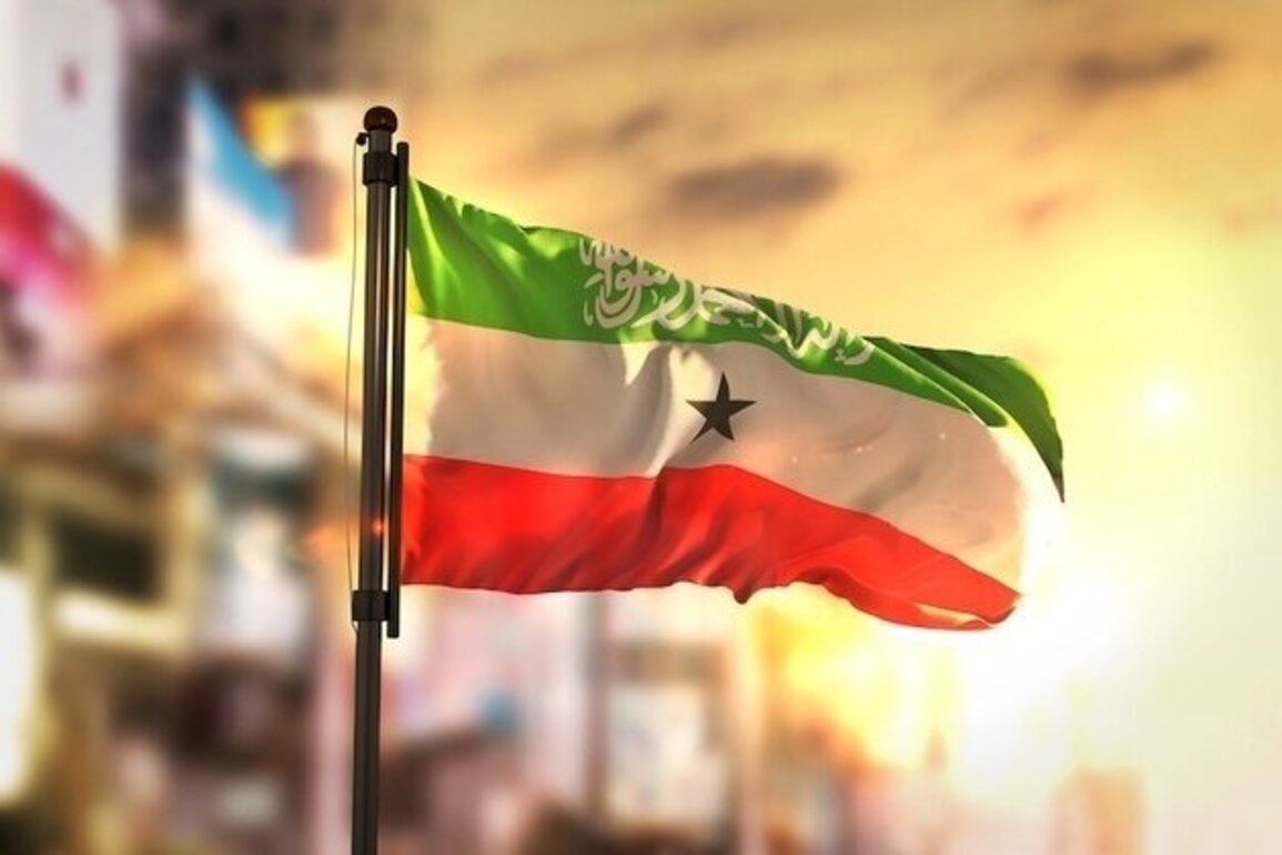 Opinion Israels Recognition of Somaliland