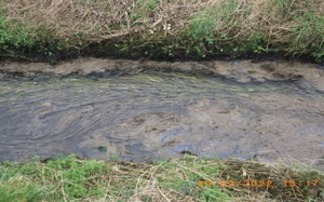 Farm business fined more than £15,000 after silage clamp 'leaks' pollution into a watercourse