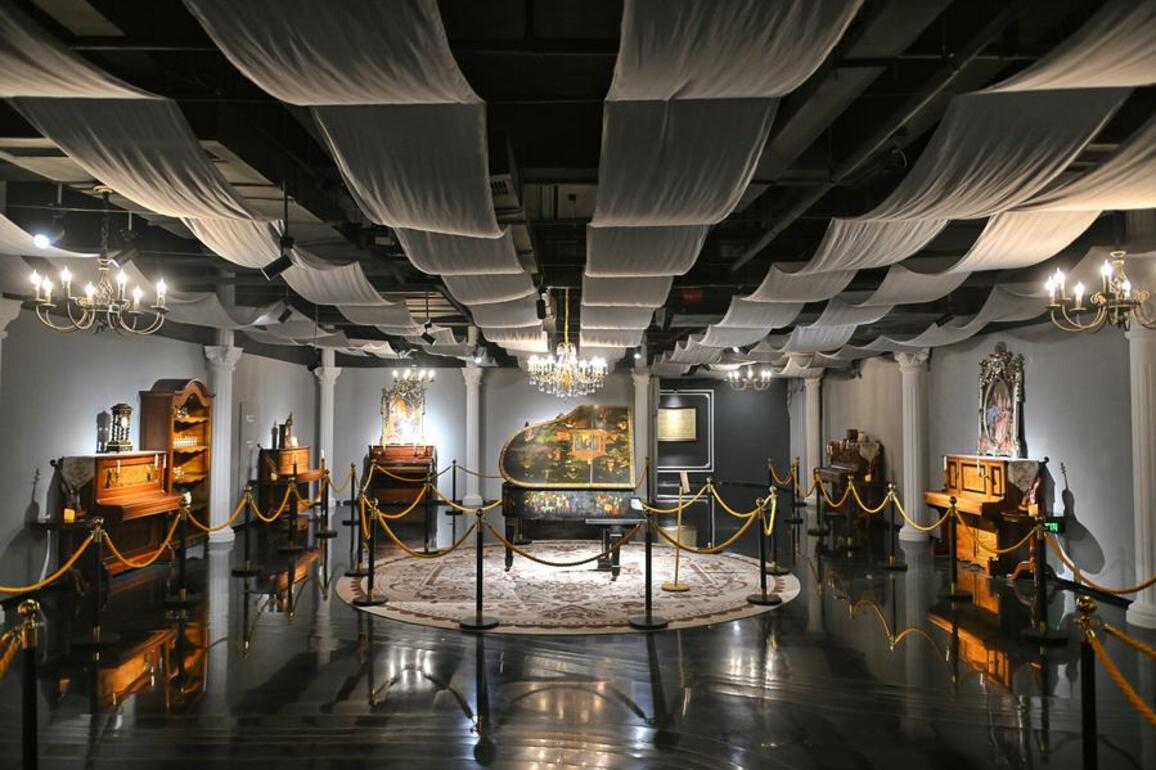 InPics: Exploring worldwide instruments at music museum in SW China's Sichuan