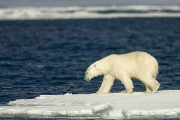 US eyes Arctic cooperation with Gazprom - Bloomberg