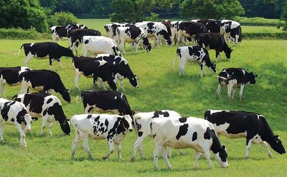 Brighter dairy prospects but expect more volatility