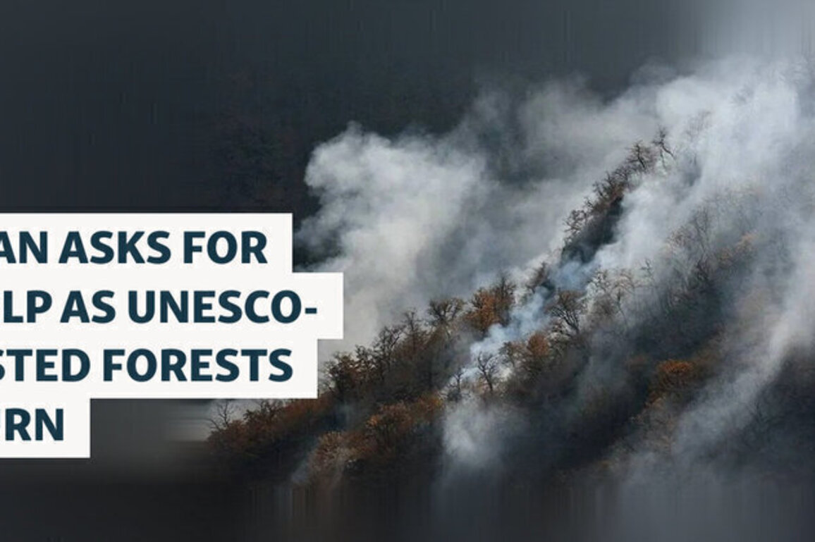 Iran Asks For Help As UNESCO-Listed Forests Burn