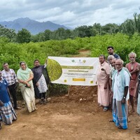 India sends first-ever air shipment of GI-tagged 'Limes' to United Kingdom