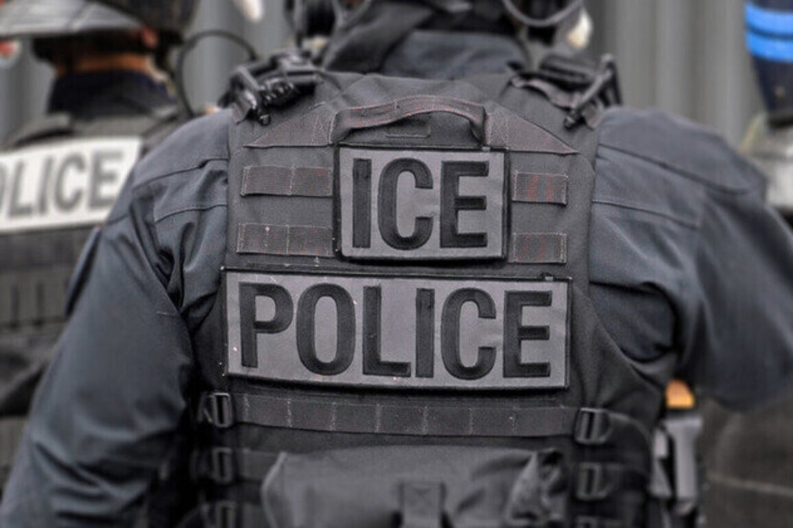 Trump floats ICE-to-NICE rebrand