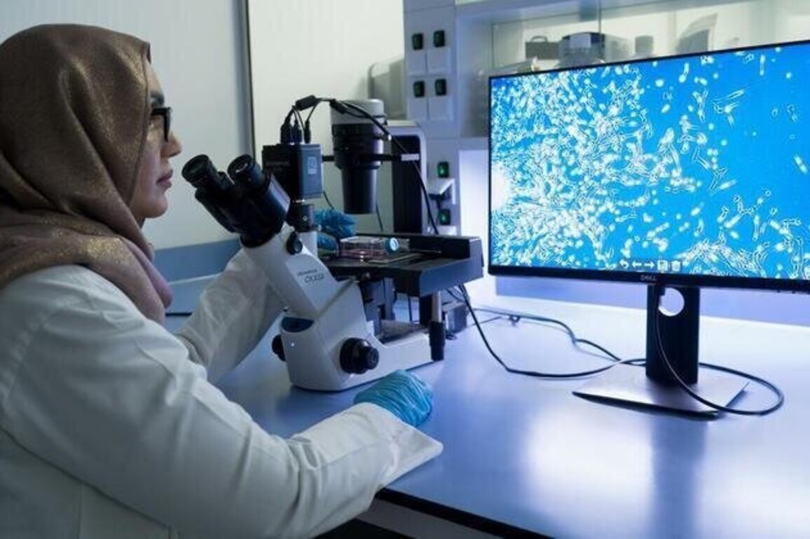 UAE strengthens its position in regenerative medicine, stem cell therapies