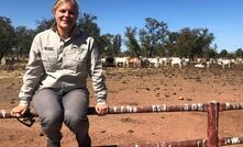 CDU researchers Beth Penrose and Sunil Kadri are exploring the impact of virtual fences on NT farms.