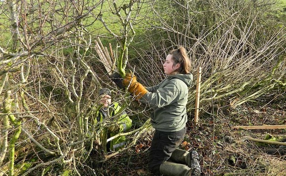 Careers in farming: Two young women prove hedgelaying can be a rewarding job