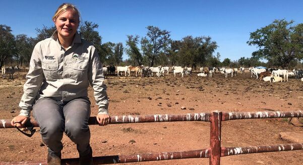 CDU researchers Beth Penrose and Sunil Kadri are exploring the impact of virtual fences on NT farms.