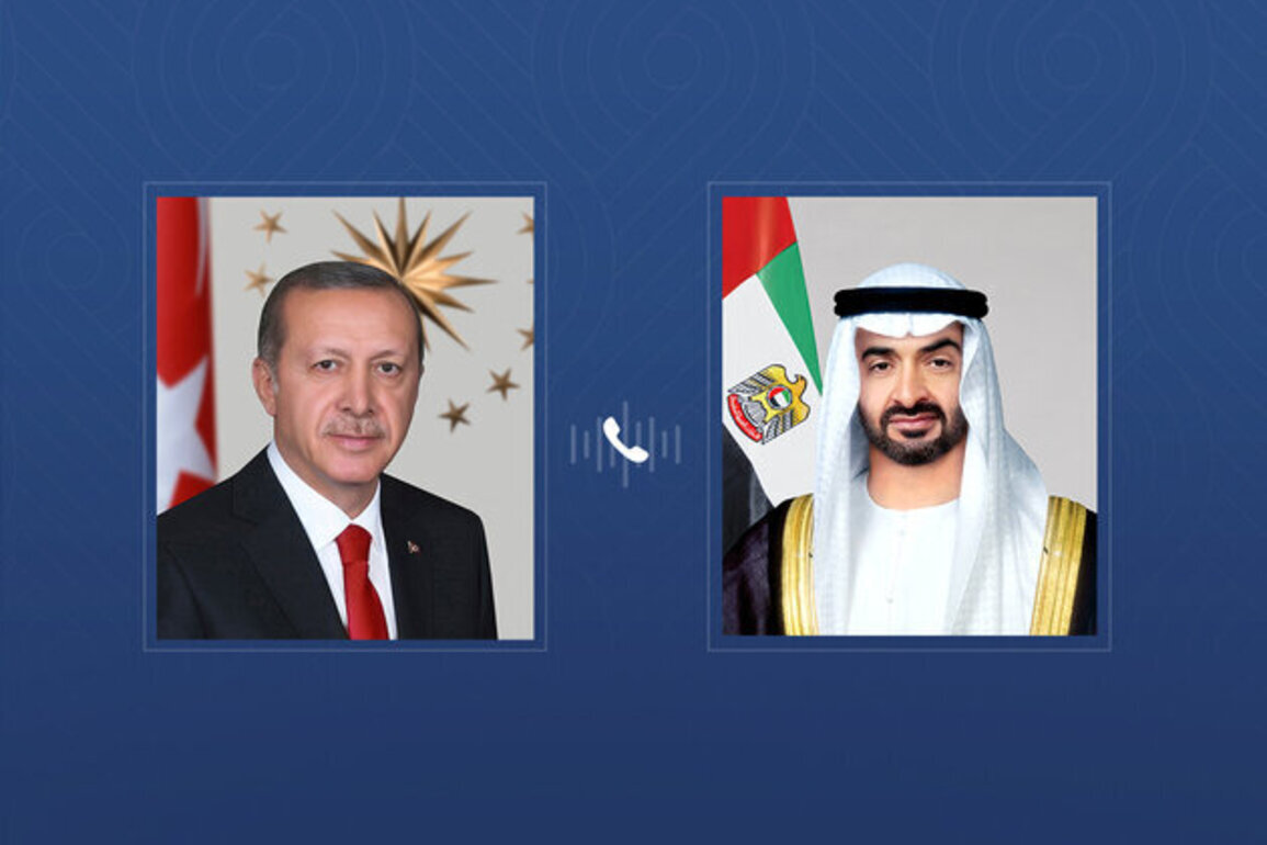 UAE and Turkish Presidents discuss bilateral cooperation and regional developments