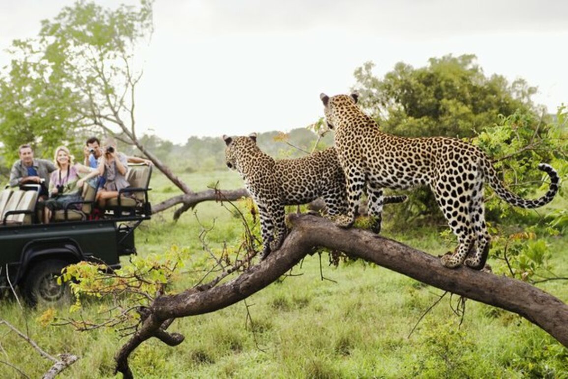 South Africa sees steady tourism growth