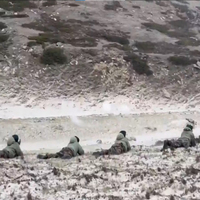 Rudra Brigade showcases superior high-altitude operational skills: Eastern Command
