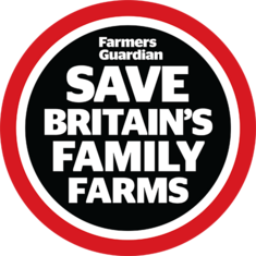 Sbff small 2 235x235.png