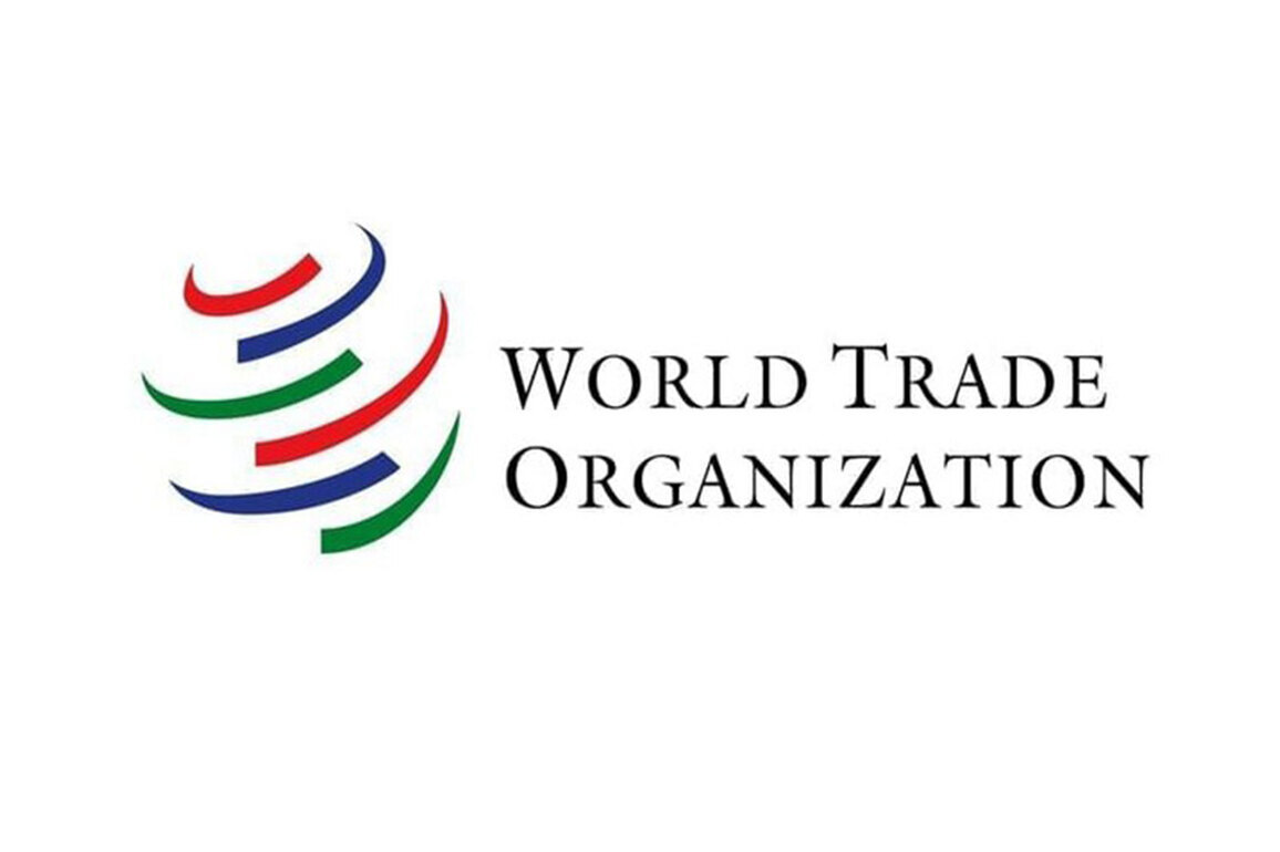 WTO dispute settlement paralysis, evolving trade challenges in focus at CTIL-SAIELN Virtual Trade Talk