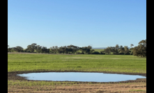  Nitrogen losses can be significant in wet conditions. Picture Mark Saunders.