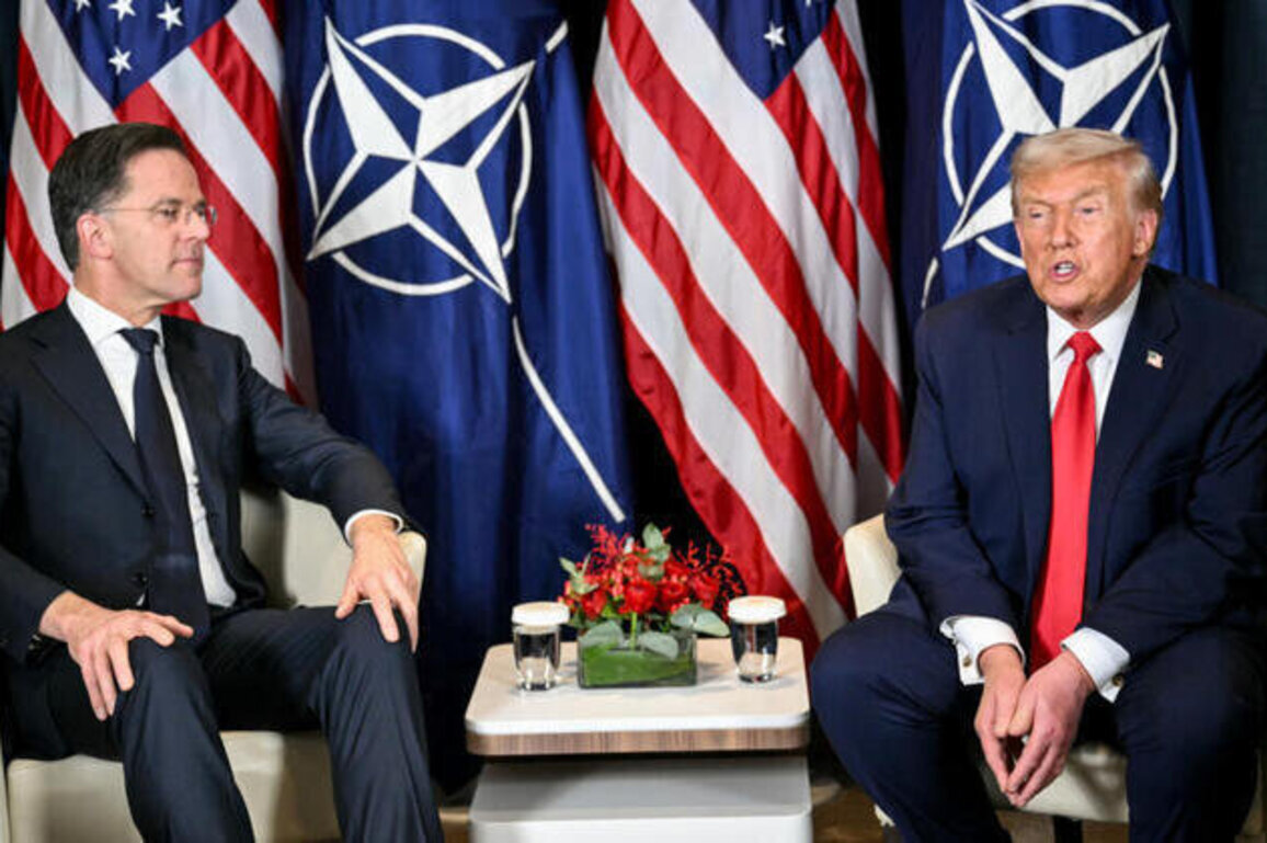 Trump meets NATOs Rutte as US weighs exit over Iran war