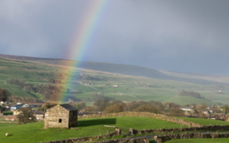 Record November rainfall brings relief for drought-hit farmers