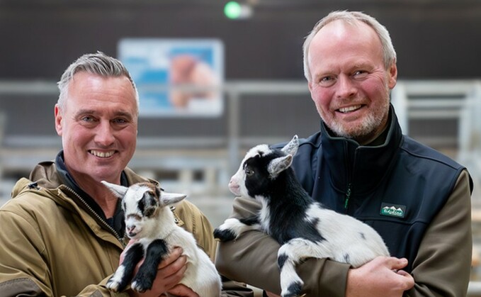 Dave and Rob Nicholson will be back for a brand new series of Springtime on the Farm (Channel 5)
