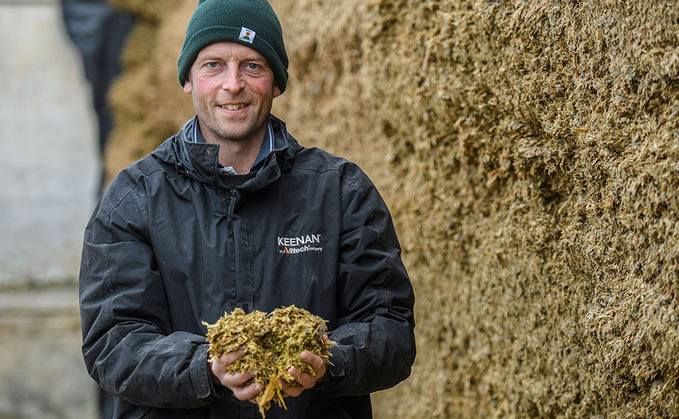 Maize a vital ingredient on Wiltshire farm