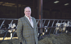 EXCLUSIVE - Andrew RT Davies: "Livestock farming in Wales is approaching a crisis point"