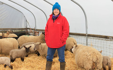 Women's group tackles rural loneliness - 'trying to organise things with non-farming friends is hard'