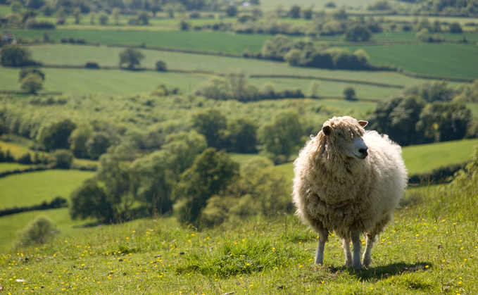 Standing side by side, united for the good of the industry is the only way positive change can be brought about, says FG editor Olivia Midgley.