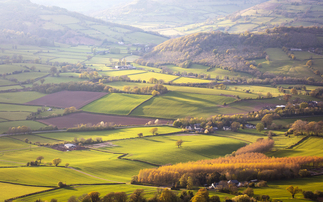 Tenant farmers to 'press the case' for rent reductions