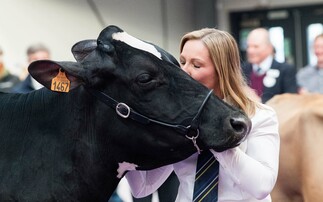 Mag Pandor takes the crown once again at Borderway UK Dairy Expo  