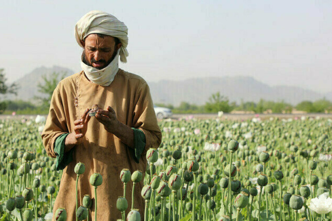 Addicts, mullahs, and meth: Inside Afghanistans harsh war on drugs