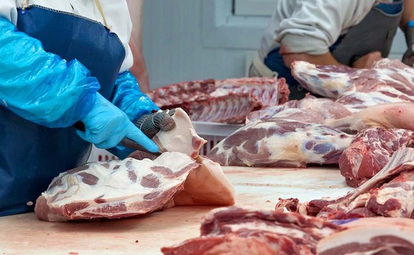 Eminent scientists hit out at simplistic war on meat
