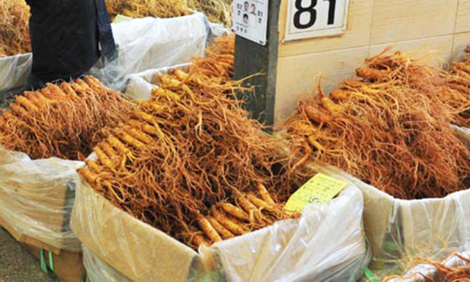 Cancer patients told to avoid herbal medicine Cancer patients told to avoid herbal medicine