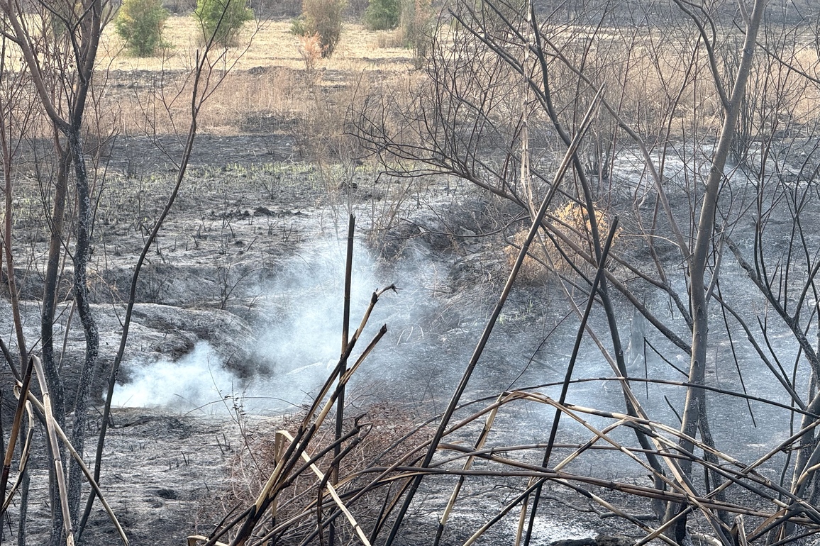 SYRIA-LATAKIA-WILDFIRES