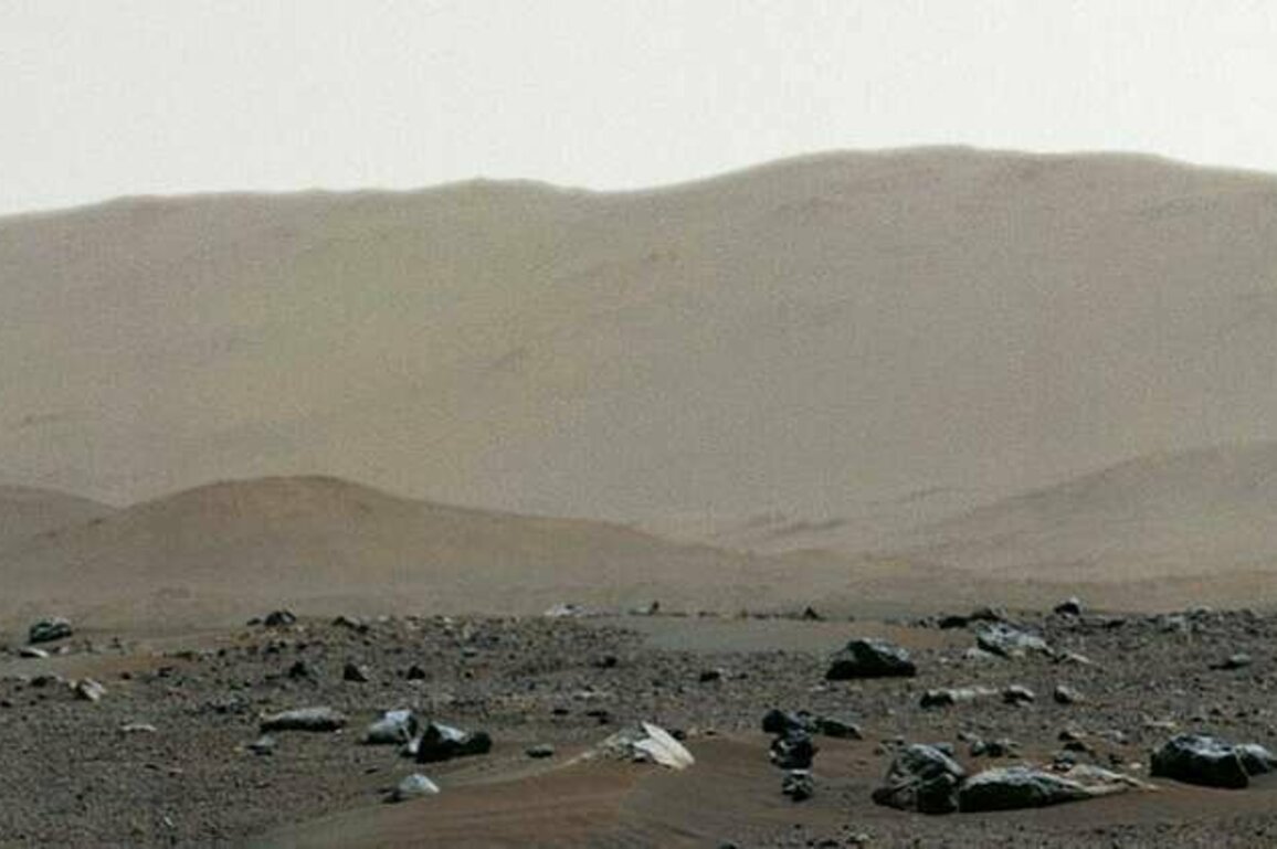 50 years ago, NASA sent 2 spacecraft to search for life on Mars - the Viking missions' findings are still discussed today